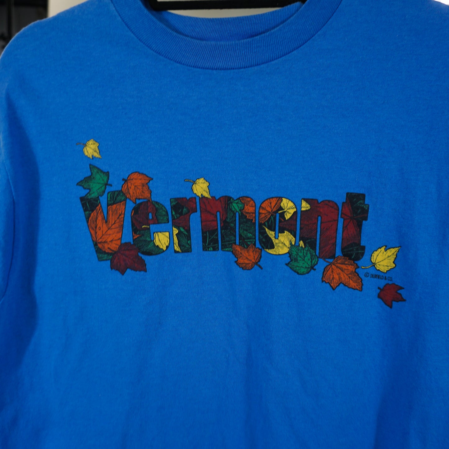 Tee-shirt graphique de l’État du Vermont des années 90 (M)