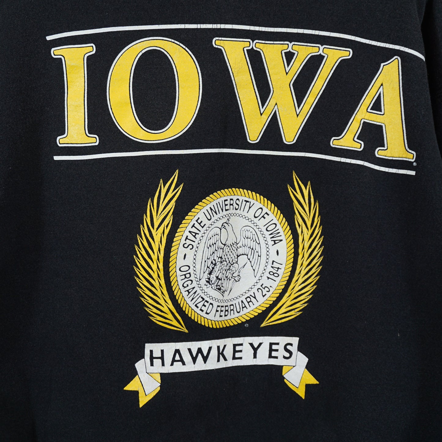 Hawkeyes Crewneck de l’Université de l’Iowa des années 1990 (M)
